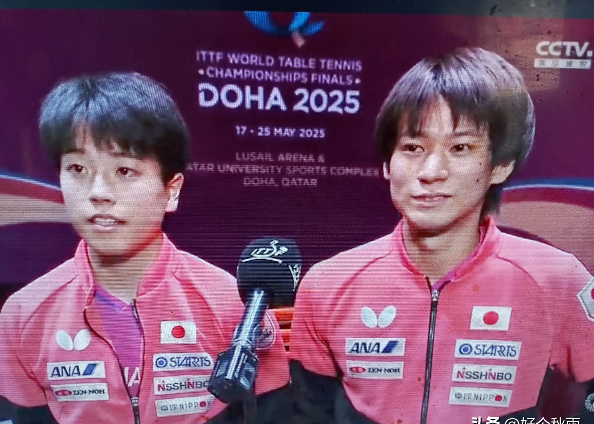 开云体育官网-英国乒乓球队力克日本乒乓球队，波尔制霸全场