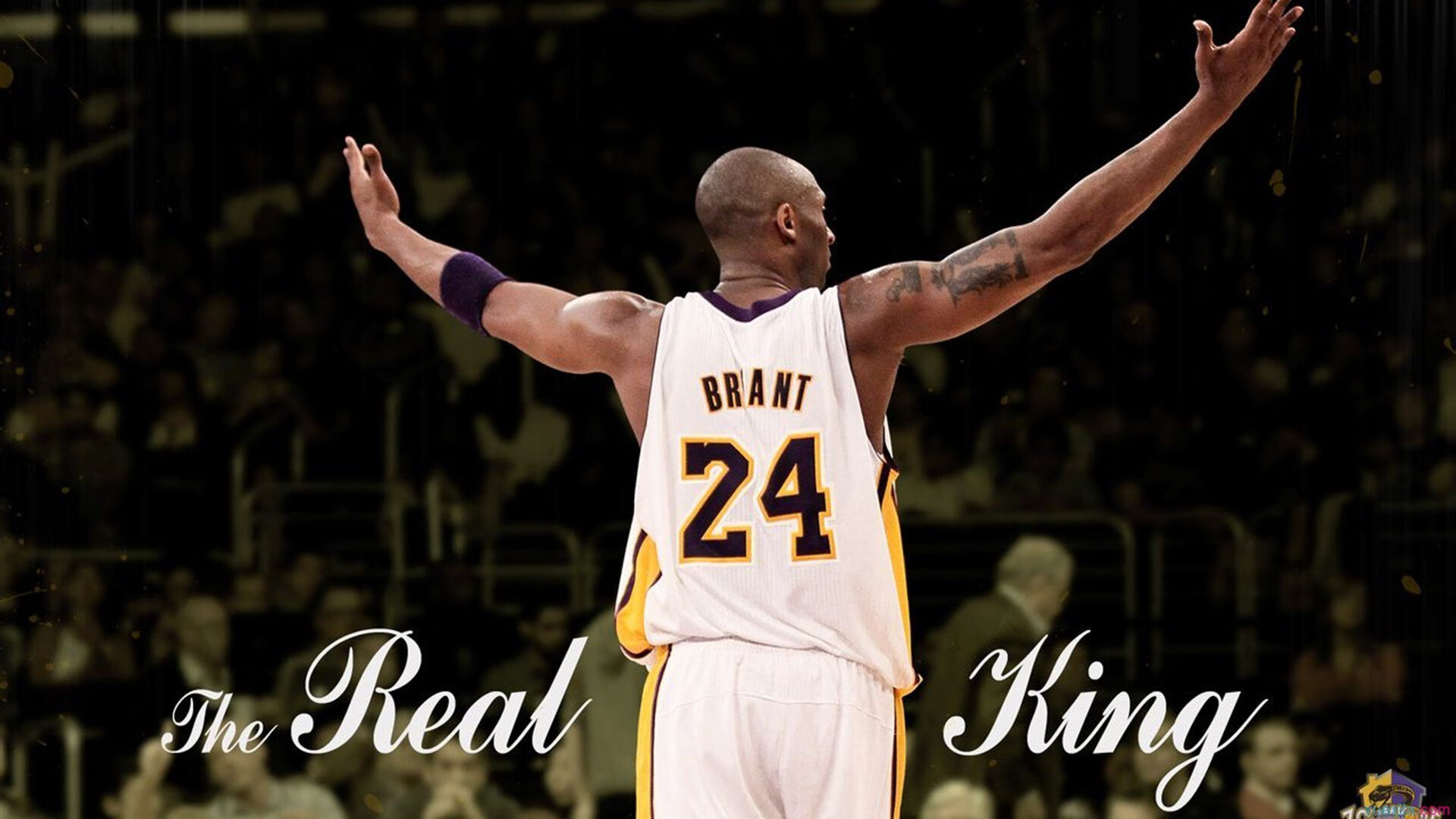 开云APP-黄蜂蛰伏终觉醒，班凯罗无解统治击溃爵士